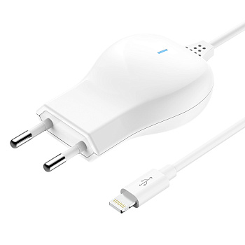 Зарядное устройство сетевое OLMIO lightning 2.1A СПЕЦ ЦЕНА купить в Астане