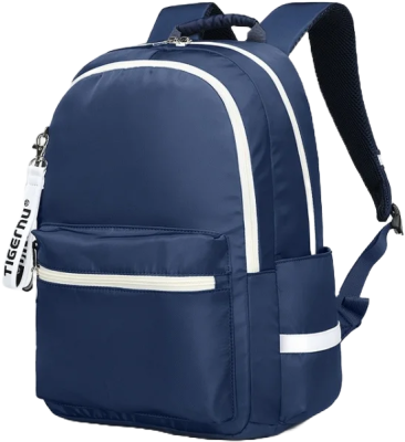 Сумка-рюкзак для ноутбукаTIGERNU T-B9030, 15.6", Navy blue