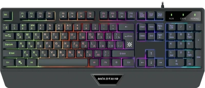 Клавиатура Defender Moldtaur GK-116 USB
