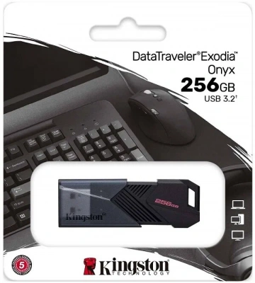 Flash DRIVE USB 256Gb DTXON (Kingston) USB 3.2