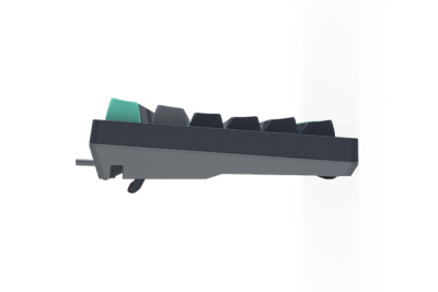 Клавиатура A4Tech Fstyler FS300 Panda Rock Climbing (USB)