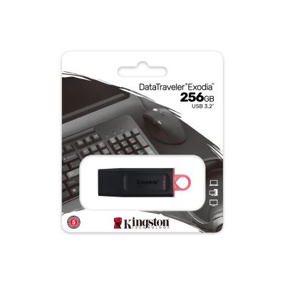 Flash DRIVE USB 256Gb DTX (Kingston) USB 3.2