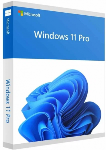 ПО Windows Pro 11 (box) 