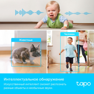 Digital Web Camera TP-Link Tapo C225 WiFi (поворотная)