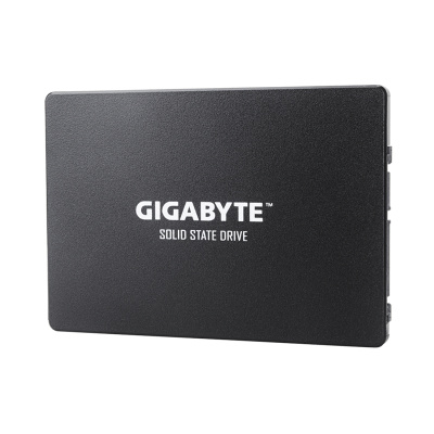 SSD 256Gb Gigabyte 2.5" SATA (GP-GSTFS31256GTND) фото