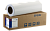 Бумага Epson (C13S041893) 250гр, A1, 61 см x 30,5 м, глянцевая(Photo Paper Gloss) СПЕЦ ЦЕНА