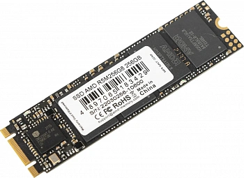 SSD 256Gb AMD Radeon R5 M.2 SATA (R5M256G8)