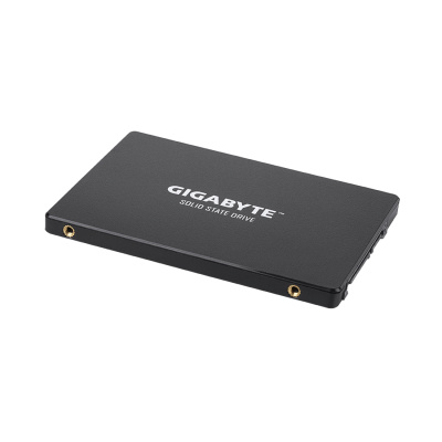 SSD 256Gb Gigabyte 2.5" SATA (GP-GSTFS31256GTND) фото