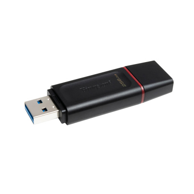 Flash DRIVE USB 256Gb DTX (Kingston) USB 3.2