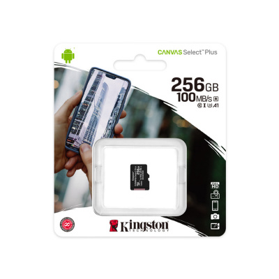 Flash microSD SDCS2/256G  Kingston